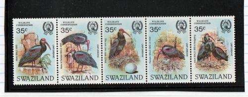 SWAZILAND-1984 WILDLIFE CONSERVATION-BIRDS-BALD IBIS-SUPERB UM STRIP OF FIVE-CV R540