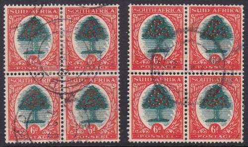 UNION SA - HYPHENATED 6D ORANGE TREE, TYPE 2 VARIETYWHITE ORANGES - USED BLOCKS!!!!!