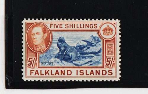 FALKLAND ISLANDS-KGV1 FIVE SHILLINGS -FINE UNMOUNTED MINT-CV R3450.00-SG 161-SCARCE STAMP AS UM
