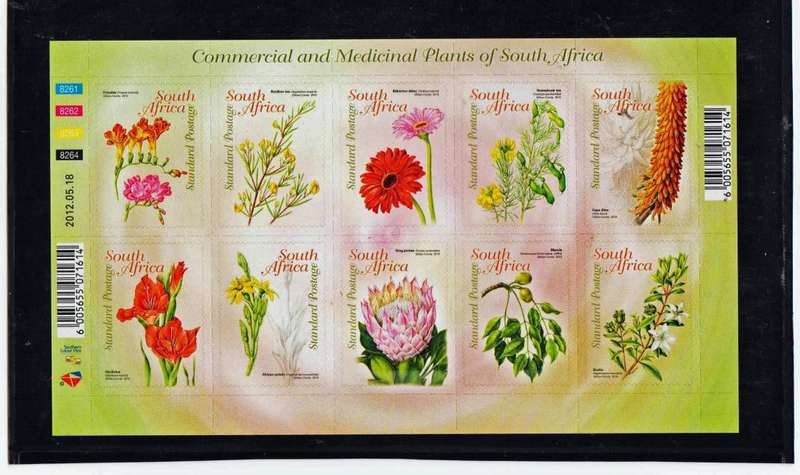 RSA MEDICINAL PLANTS OF SA-FULL SHEET-FINE UM (SELF ADHESIVE)-THESE MODERN SHEETS BECOMING SCARCE