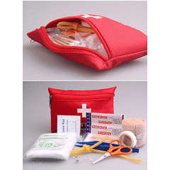 ** 10 ON AUCTION**  MEDICAL FIRST AID KIT
