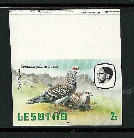LESOTHO MNH- Scarce BIRD IMPERF PROOF, Marginal  2s Rock Pigeon -magnificent Scarce (R250+)
