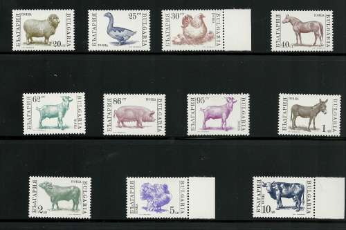 Bulgaria MNH  "DOMESTIC FARM ANIMALS" (11) fabulous, Pigs,sheep,Ducks,donkey,cattle ++