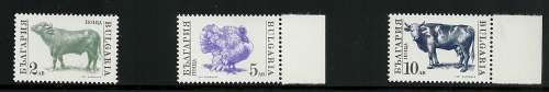 Bulgaria MNH  "DOMESTIC FARM ANIMALS" (11) fabulous, Pigs,sheep,Ducks,donkey,cattle ++