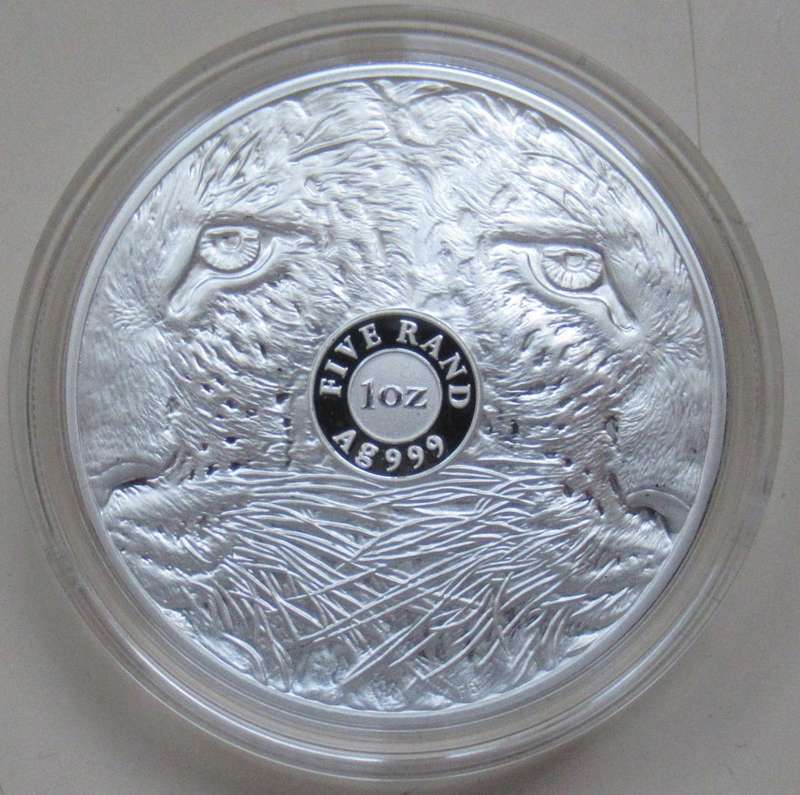 Proof Big Five Silver Leopard 2023 in Capsule