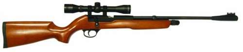 Shaoxing Snow Peak Airgun Factory XT 501 single shot Co2 4.5 mm