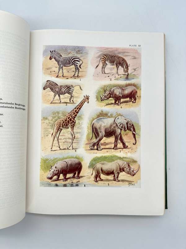 The Mammals of South Africa by Austin Roberts (Deluxe Edition)