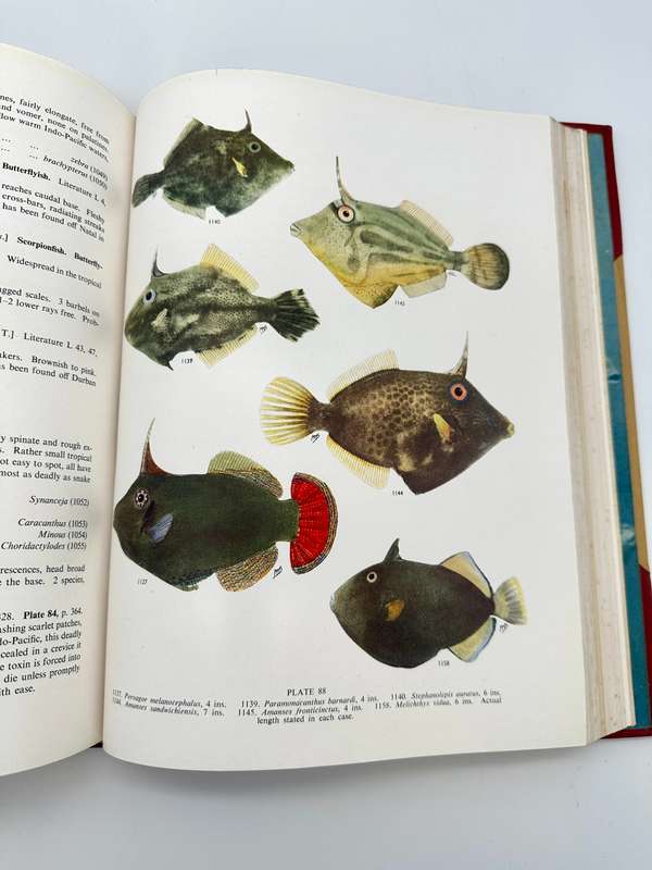 The Sea Fishes of Southern Africa by J.L.B Smith (Deluxe Edition)