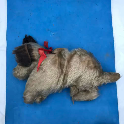 Vintage Old Deans Terrier Dog 1940`s