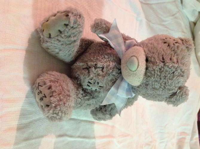 Tatty Teddy