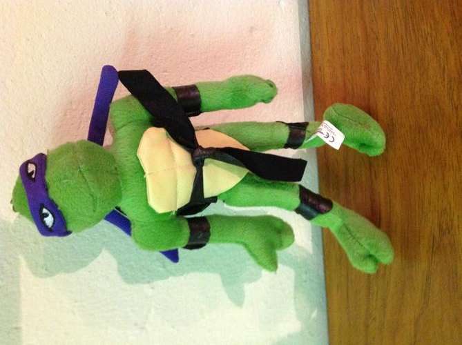 Ninja Turtle