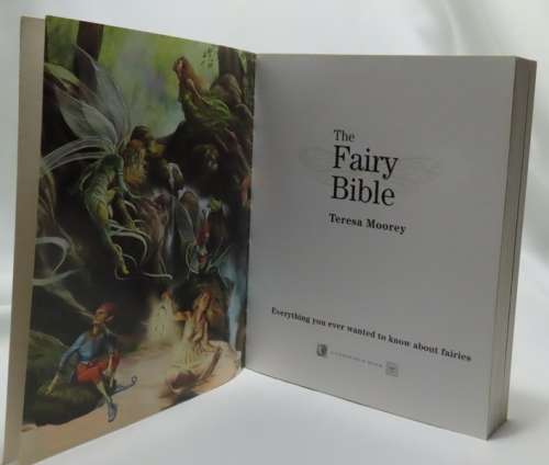 The Fairy Bible by Teresa Moorey