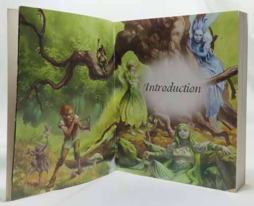 The Fairy Bible by Teresa Moorey