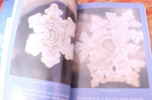 The Hidden Messages in Water by Masaru Emoto