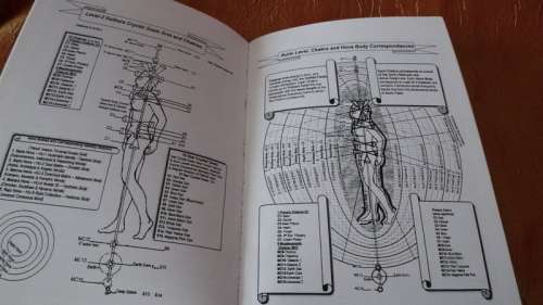 Angelic Realities - The Survival Handbook