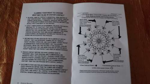 Angelic Realities - The Survival Handbook