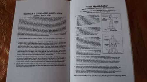 Angelic Realities - The Survival Handbook