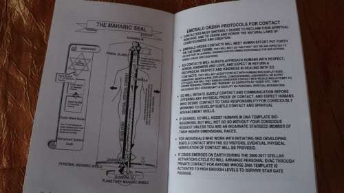 Angelic Realities - The Survival Handbook