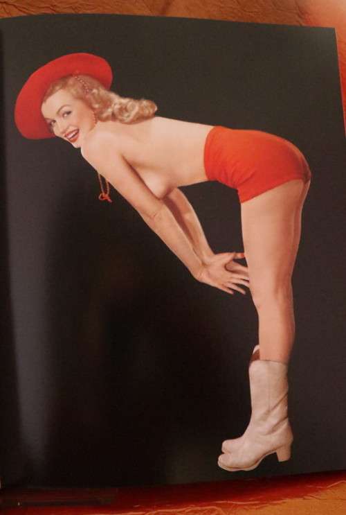 METAMORPHOSIS - Marilyn Monroe by David Wills & Stephen Schmidt