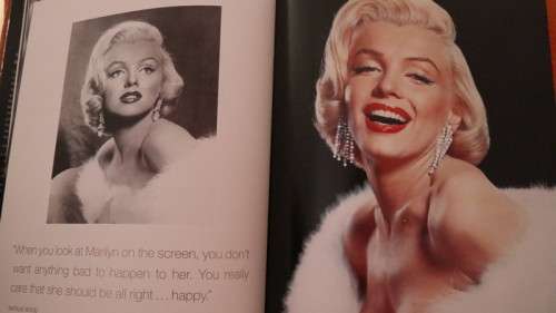 METAMORPHOSIS - Marilyn Monroe by David Wills & Stephen Schmidt
