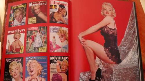 METAMORPHOSIS - Marilyn Monroe by David Wills & Stephen Schmidt