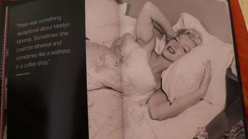 METAMORPHOSIS - Marilyn Monroe by David Wills & Stephen Schmidt