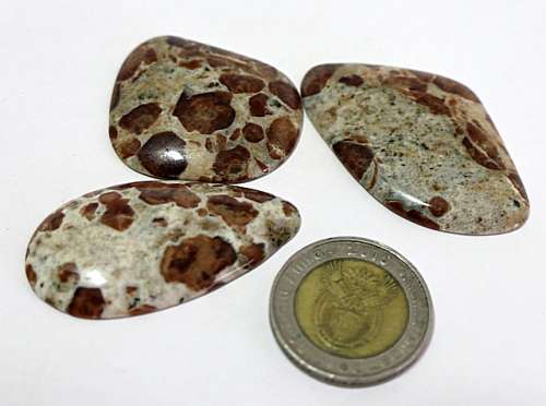 Spotted jasper Cabochon