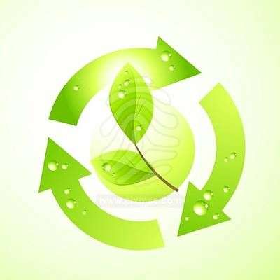 Business Opportunity - Manufacture BioDiesel