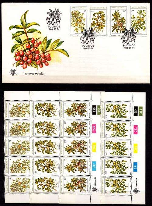 1980 EDIBLE FRUITS OF BOPHUTHATSWANA FDC + MATCHING 4 X 5 CONTOL BLOCKS
