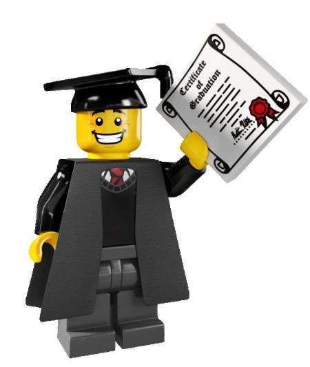 GRADUATE - LEGO Minifigures - Series 5