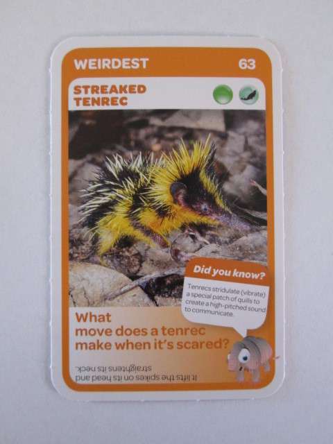#63 STREAKED TENREC (Weirdest) - Pick n Pay Super Animals Trading Card
