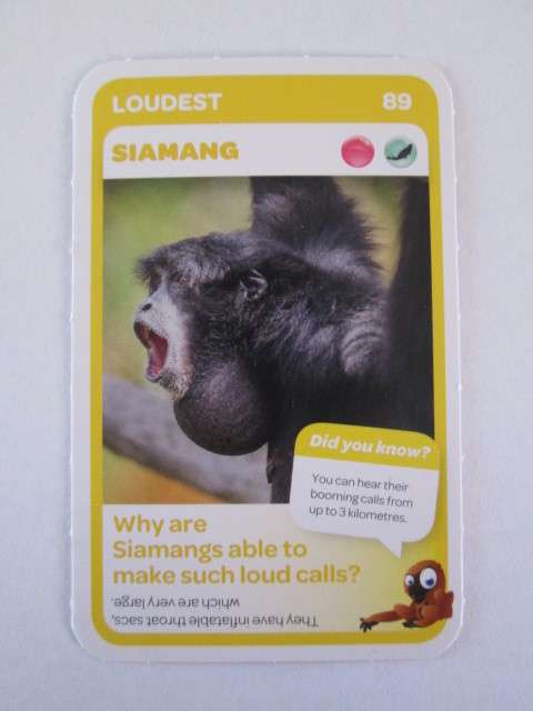 #89 SIAMANG (Loudest) - Pick n Pay Super Animals Trading Card