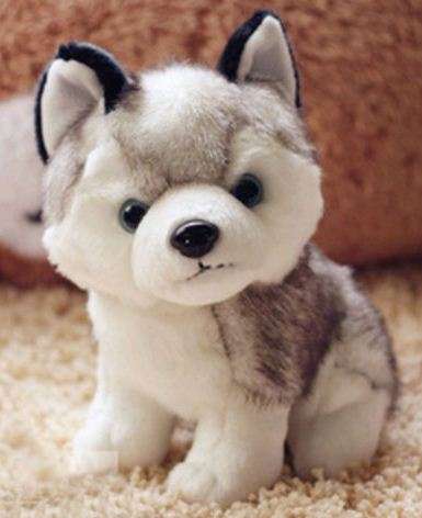 Husky Puppy Dog - Plush Toy - 18cm Tall, Great Gift, Very Cute! ^^,