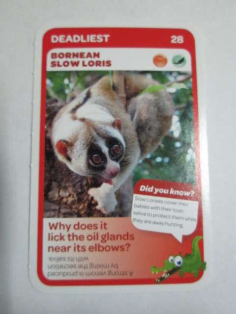 #28 Bornean Slow Loris (Deadliest) - Pick n Pay Super Animals Trading Card