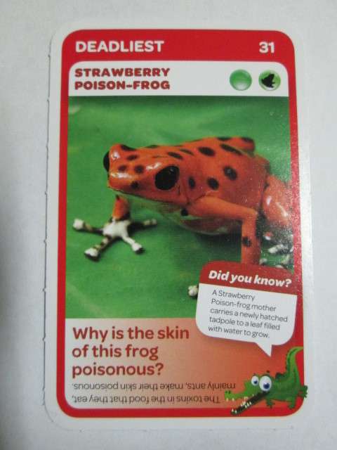 #31 Strawberry Poison Frog (Deadliest) - Pick n Pay Super Animals Trading Card