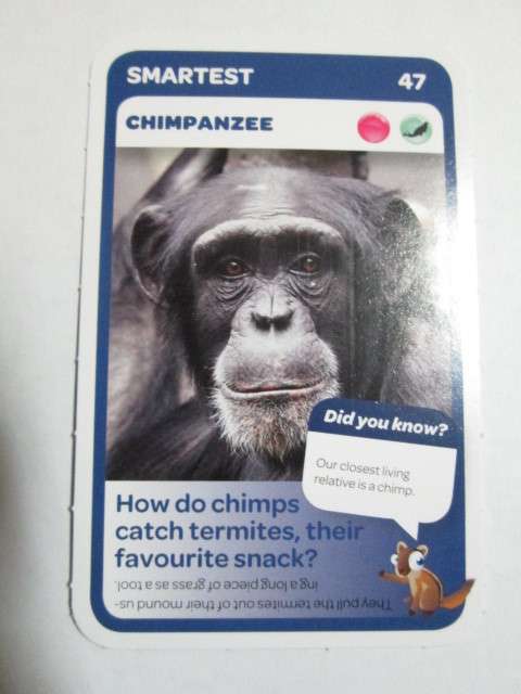 #47 Chimpanzee (Smartest) - Pick n Pay Super Animals Trading Card