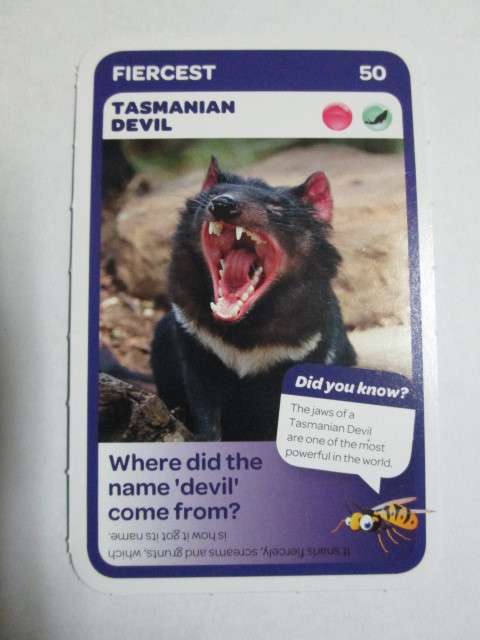 #50 Tasmanian Devil (Fiercest) - Pick n Pay Super Animals Trading Card