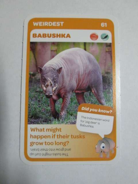 #61 Babushka (Weirdest) - Pick n Pay Super Animals Trading Card