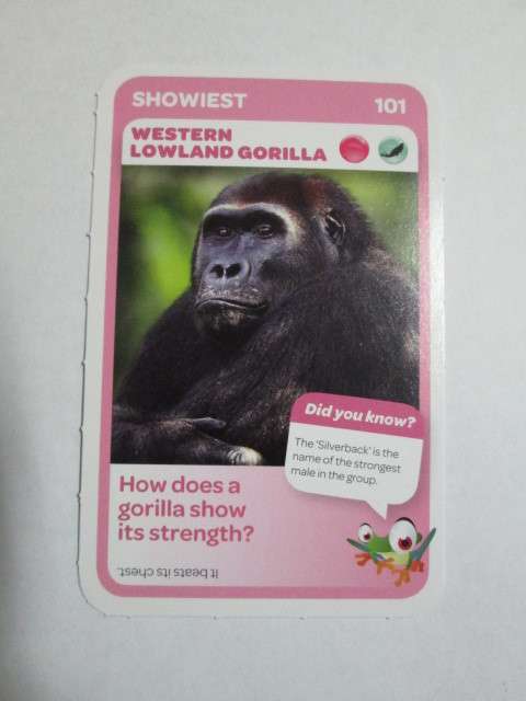 #101 Western Lowland Gorilla (Showiest) - Pick n Pay Super Animals Trading Card