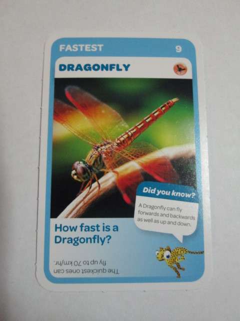 #9 Dragonfly (Fastest) - Pick n Pay Super Animals Trading Card