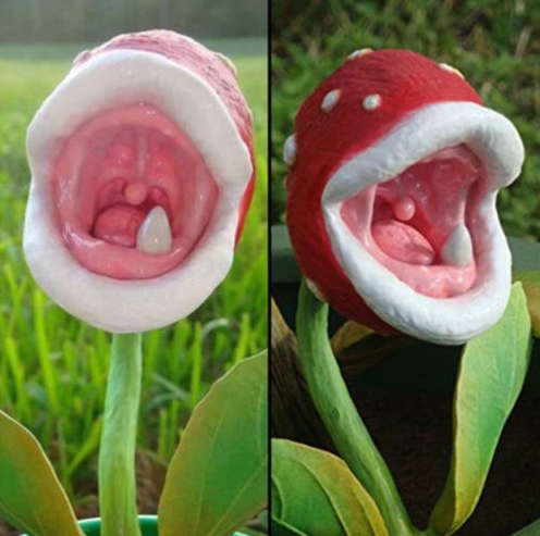 100 Pcs RARE Insect-Catching Plant Enchantress Carnivorous Pot Bonsai Seeds