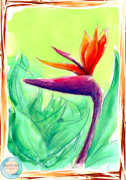 Strelitzia Reginae by Orlando Castro - NFT Original Art