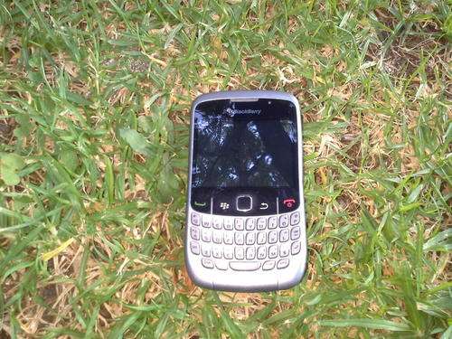 BLACKBERRY Curve with Charger