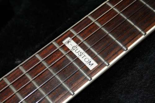 Cort X-Custom Electric Guitar - with EMG 81/85 Pickups and Molded HardCase!! High End Korean Made!!