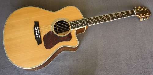 Walden G630CE Acoustic Guitar - Solid Spruce Top - Rosewood B/S