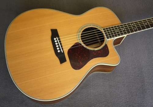 Walden G630CE Acoustic Guitar - Solid Spruce Top - Rosewood B/S