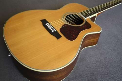 Walden G630CE Acoustic Guitar - Solid Spruce Top - Rosewood B/S