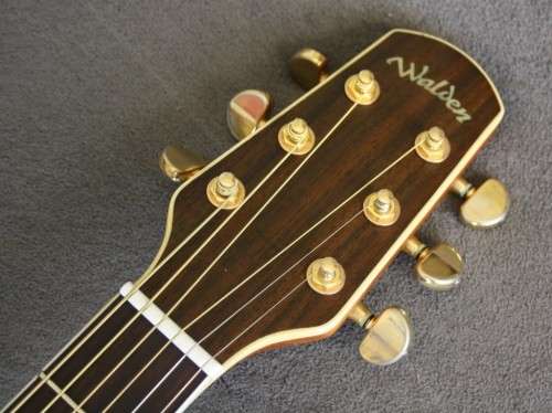 Walden G630CE Acoustic Guitar - Solid Spruce Top - Rosewood B/S