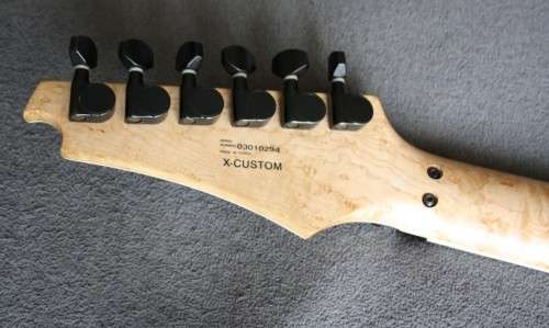 Cort X-Custom Electric Guitar - Custom Snake Skin Finish - Made in Korea (HIGH END)