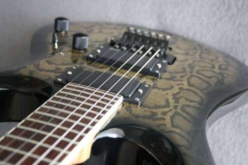 Cort X-Custom Electric Guitar - Custom Snake Skin Finish - Made in Korea (HIGH END)